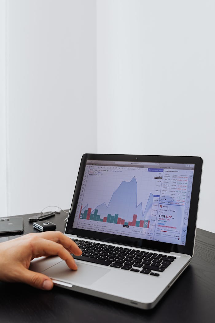 services-04 A person analyzing financial data on a laptop with graphs displayed on the screen.